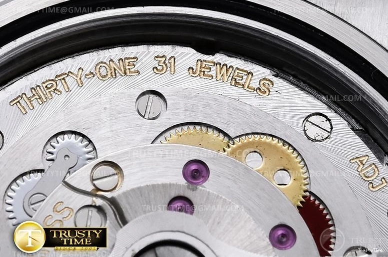 0205 FlexibleFit R2DJ0253G – DJ2 41mm 646